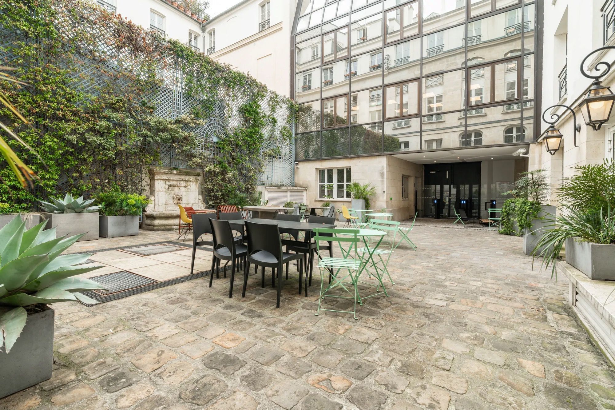 Sora Jungle - Photo 3