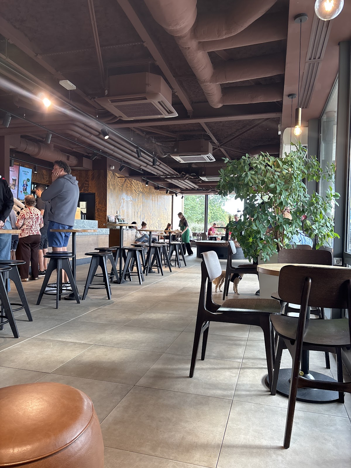 Starbucks Aire de Saint-Albain A6 - Photo 4