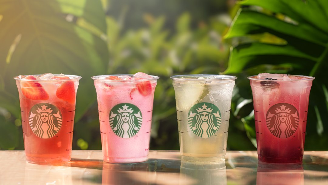 Starbucks Pays Basque BAB2 - Photo 2