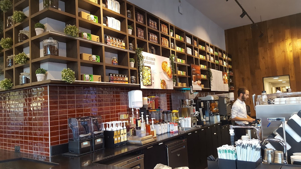 Starbucks Strasbourg Black Swan