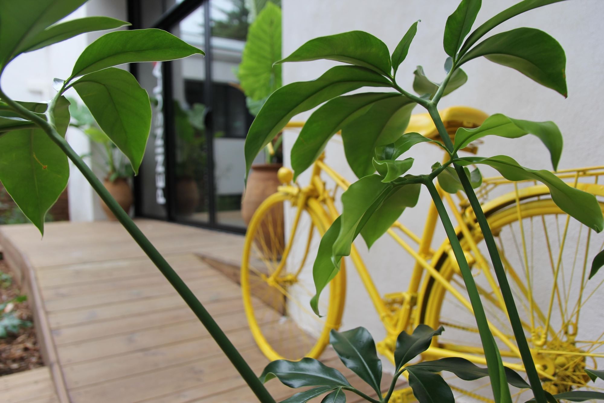 The Island - Photo 2